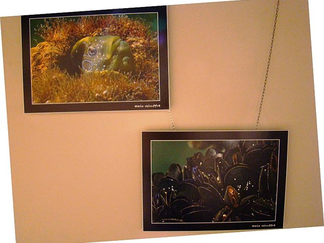 Giornata del Paesaggio 2017 4.jpg